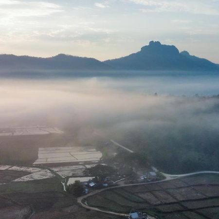 Kaewma Farmstay Khuang Kom Kültér fotó