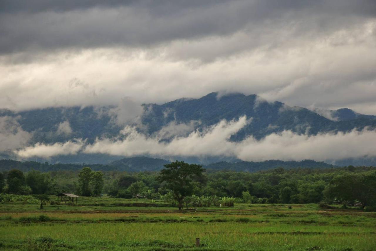Kaewma Farmstay Khuang Kom Kültér fotó