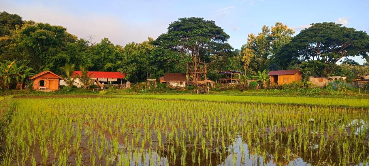 Kaewma Farmstay Khuang Kom Kültér fotó
