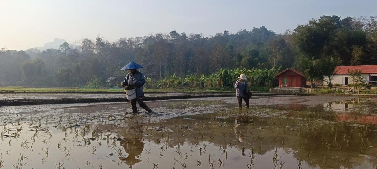 Kaewma Farmstay Khuang Kom Kültér fotó
