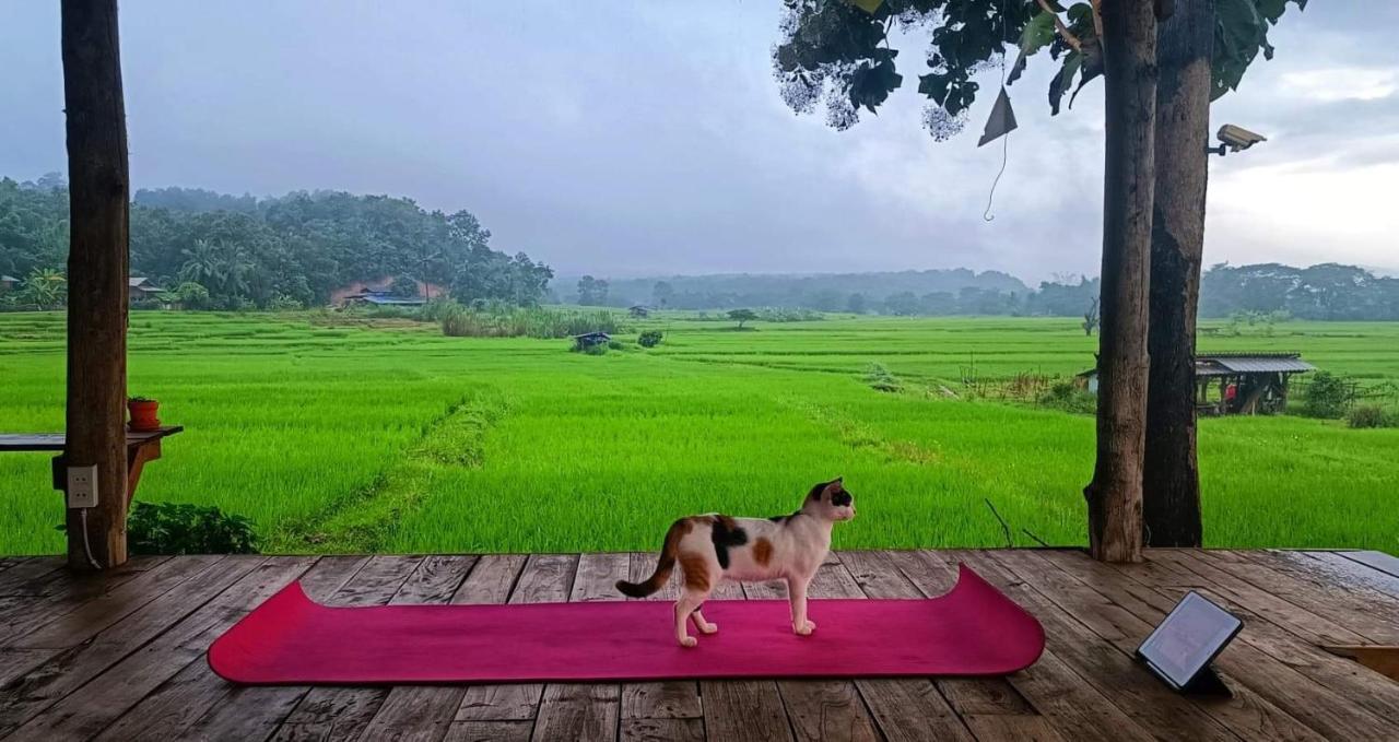 Kaewma Farmstay Khuang Kom Kültér fotó