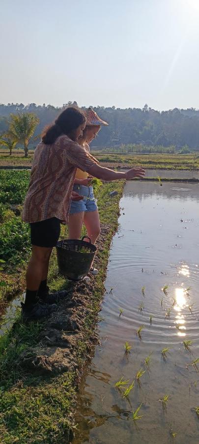 Kaewma Farmstay Khuang Kom Kültér fotó