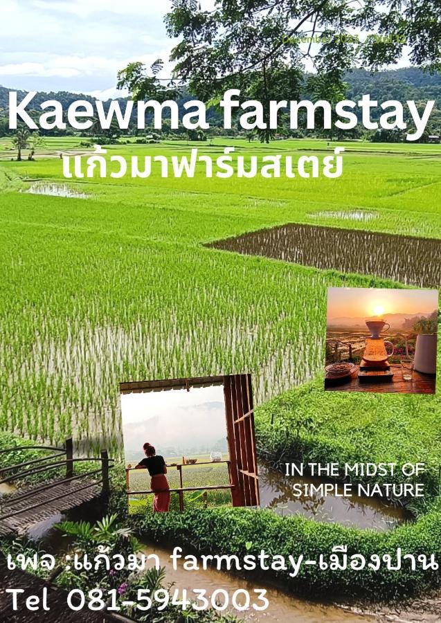 Kaewma Farmstay Khuang Kom Kültér fotó