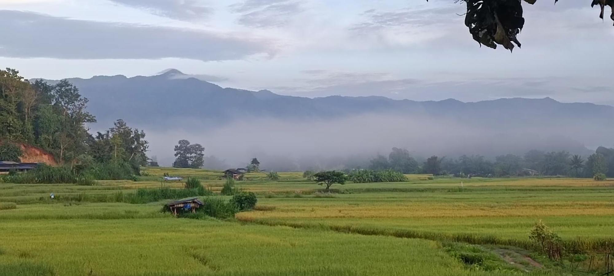 Kaewma Farmstay Khuang Kom Kültér fotó