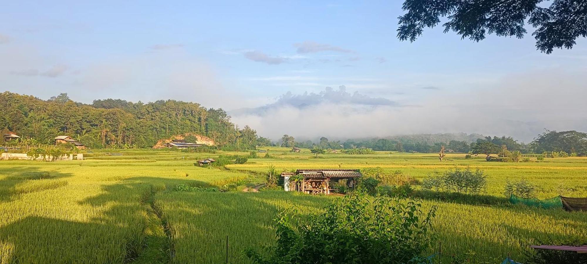 Kaewma Farmstay Khuang Kom Szoba fotó