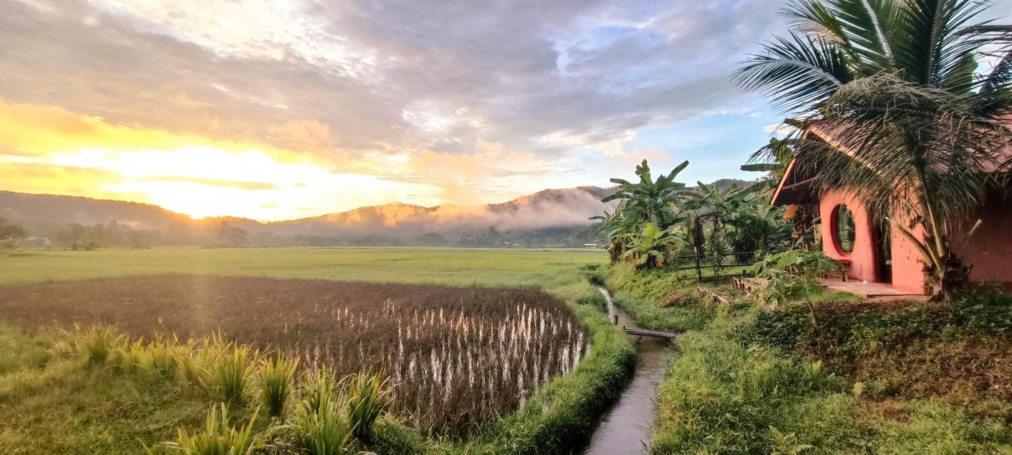Kaewma Farmstay Khuang Kom Szoba fotó